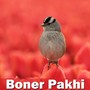 Boner Pakhi