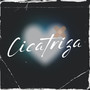 Cicatriza (Remix)