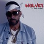 Wolves (feat. Mahdi Supreme) [Explicit]