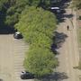 Live From Fox 5 News (Live) [Explicit]