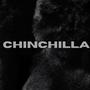 Chinchilla (feat. illy - Ace)