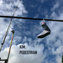 Pedestrian