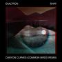 Canyon Curves (feat. Exaltron & Shay) [Common Birds Remix]