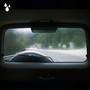 Rain Inside Car