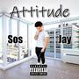 Attitude (Explicit)