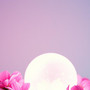 Dancing Free Tonight (今夜自由舞)