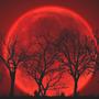 Red Moon (feat. Angelica Nor)