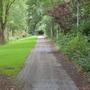 This Lonely Road