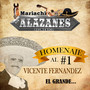 Homenaje Al #1 Vicente Fernandez (Mariachi)