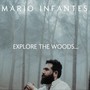 Explore the Woods...