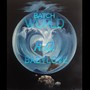 Batch World (Explicit)