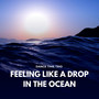 Feeling Like a Drop in the Ocean