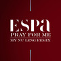 Pray for Me (My Nu Leng Remix)