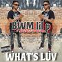 What's Luv (feat. Savage da fool) [Explicit]