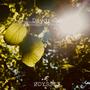 Daydream