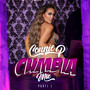 Cumbia Mix Pt. 1