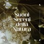 Suoni sereni della natura: musica rilassante per l'anima