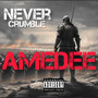 Never Crumble (Explicit)