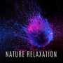 Happy Moments of Nature Relaxation: 2019 Nature & Piano Music Composed to Give You a Perfect Relax, Rest, Calm Nerves, Stress Relief, Good Sleep