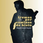Iremos por caminos de hielo