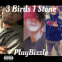 3 Birds 1 Stone (Explicit)