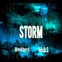 Storm (feat. Nuk3) [Explicit]