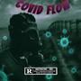 Covid Flow (Explicit)