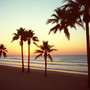 Coastal Reverie