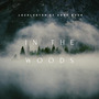 In the Woods (feat. Anne Noor)