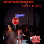 Silly Hoes (Explicit)