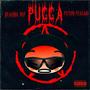 PUCCA (Explicit)