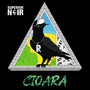 Cioara (Explicit)