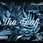 The Leaf (Explicit)