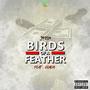 Birds of a feather (Explicit)