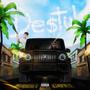 Destul (feat. COXE) [Explicit]