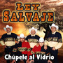 Chúpele al Vidrio (Explicit)