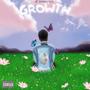 Growth (Explicit)