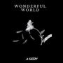 Wonderful World