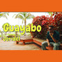 Guayabo (Explicit)