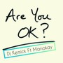 Are You Ok? (feat. Manokay)