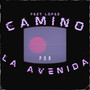 Camino por la Avenida (Explicit)