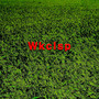 Wkclsp (Explicit)