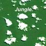 Jungle (Explicit)