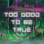 Too Good To Be True (feat. Marissa Reinfeld)