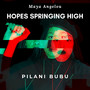Hopes Springing High