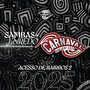 Sambas de Enredo: Carnaval SP 2025 (Grupo de Acesso de Bairros 2)