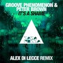 It's a Shame (Alex Di Lecce Remix)