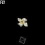 FLY (Explicit)