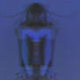 ACID RAIN (Explicit)