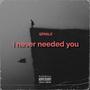 I never needed you (Explicit)